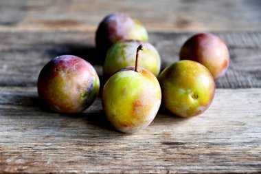 Sabah bahçede erik, eski tahtalarda.