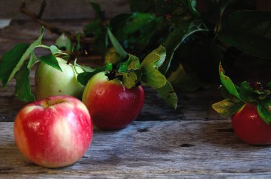 Elma rustik bir masada bahçede toplanan.