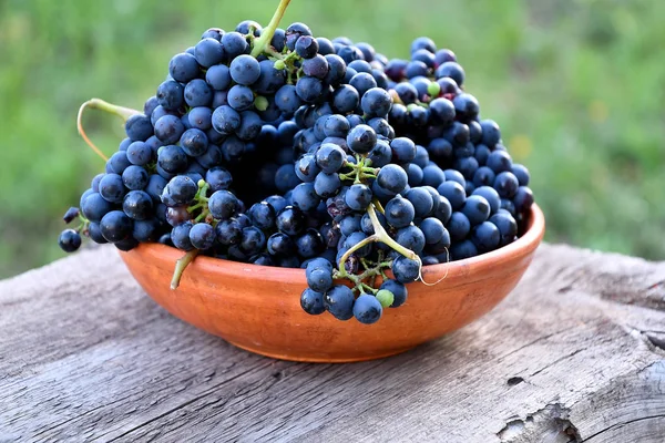 Zwarte Druiven Een Keramische Plaat Een Oud Bord Tuin — Stockfoto