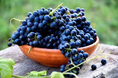 Bahçede eski bir tahta üzerinde seramik tabaksiyah üzüm.