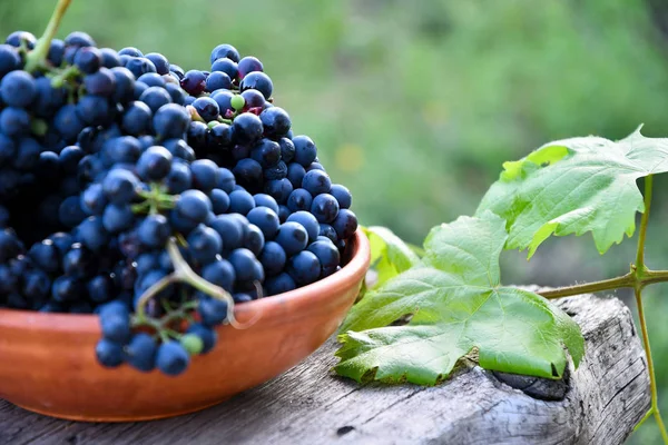 Raisins Noirs Dans Une Assiette Céramique Sur Une Vieille Planche — Photo