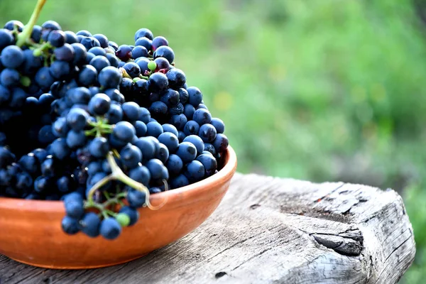 Uve Nere Piatto Ceramica Una Vecchia Tavola Giardino — Foto Stock