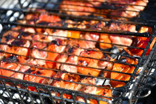 Shish Kebab Bife Pimentão Livre Fumaça Carvão — Fotografia de Stock