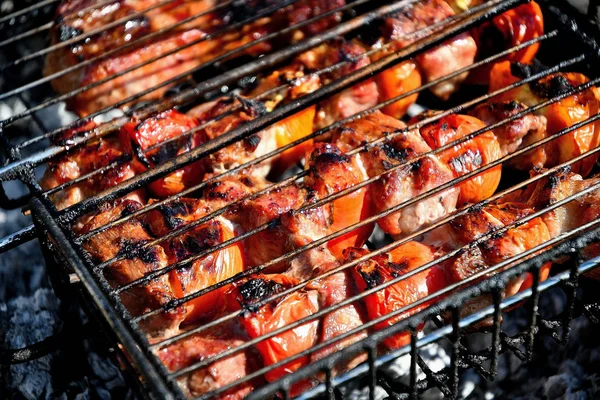 Shish Kebab Steak Paprika Open Lucht Rook Kolen — Stockfoto