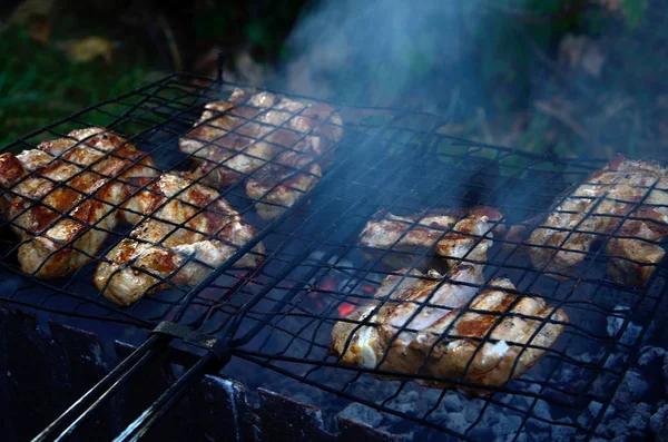 Koken Vlees Houtskool Tuin Bbq Frisse Lucht — Stockfoto