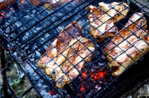 Koken Vlees Houtskool Tuin Bbq Frisse Lucht — Stockfoto