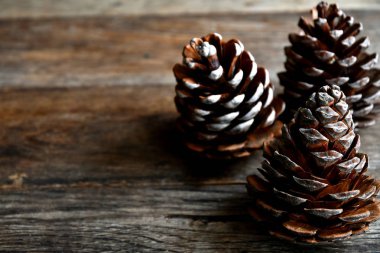 Eski ahşap tahtalarda çam ağacından güzel tümsekler.