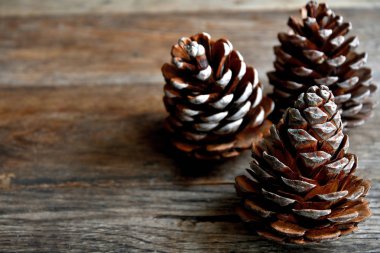 Eski ahşap tahtalarda çam ağacından güzel tümsekler.