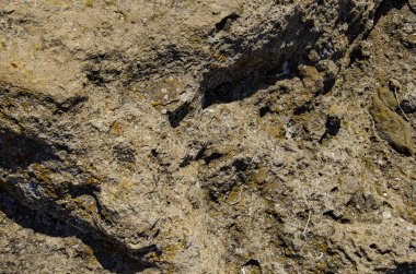 Arka plan, doğal taş, deniz kıyısındaki kaya..