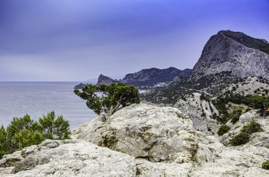Deniz, dağlar ve dağ bitkileri, manzara.