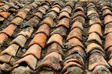 Bahçedeki masada sütlü bir fincan kahve..