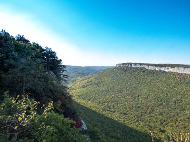 Güneşli bir günde dağlarda ve kayalıklarda çam ağaçları.