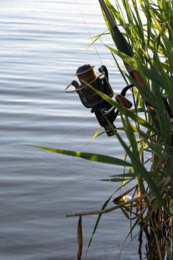 Nehir kıyısında makarayla dönüyor. Eğlence için. Balıkçılık.