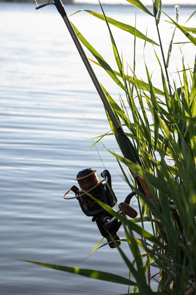 Snurrar Med Rulle Flodstranden Rekreation Fiske — Stockfoto