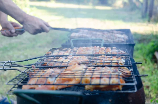 Outdoor barbecue, chicken meat is cooked on coals in smoke.