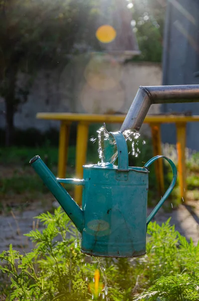 Заливаючи Воду Старий Садовий Полив Можна Садової Колони — стокове фото
