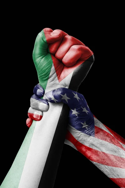 American Palestine Fist Painted Colors Palestine Flag Fist Flag Country — Stock Photo, Image