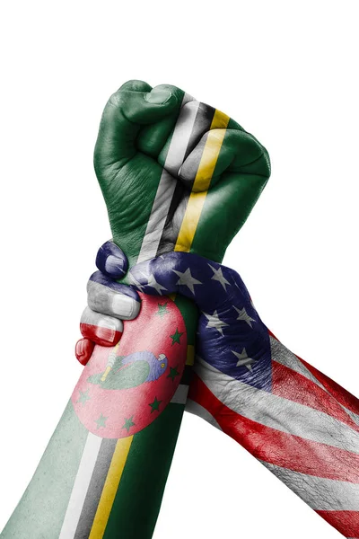 Amerikaanse Dominica Fist Geschilderd Kleuren Van Vlag Van Dominica Vuist — Stockfoto