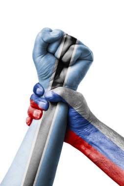 Rusya Vs Botswana, yumruk Botsvana Bayrağı, yumruk bayrak, Botswana ülke renklerde boyanmış.