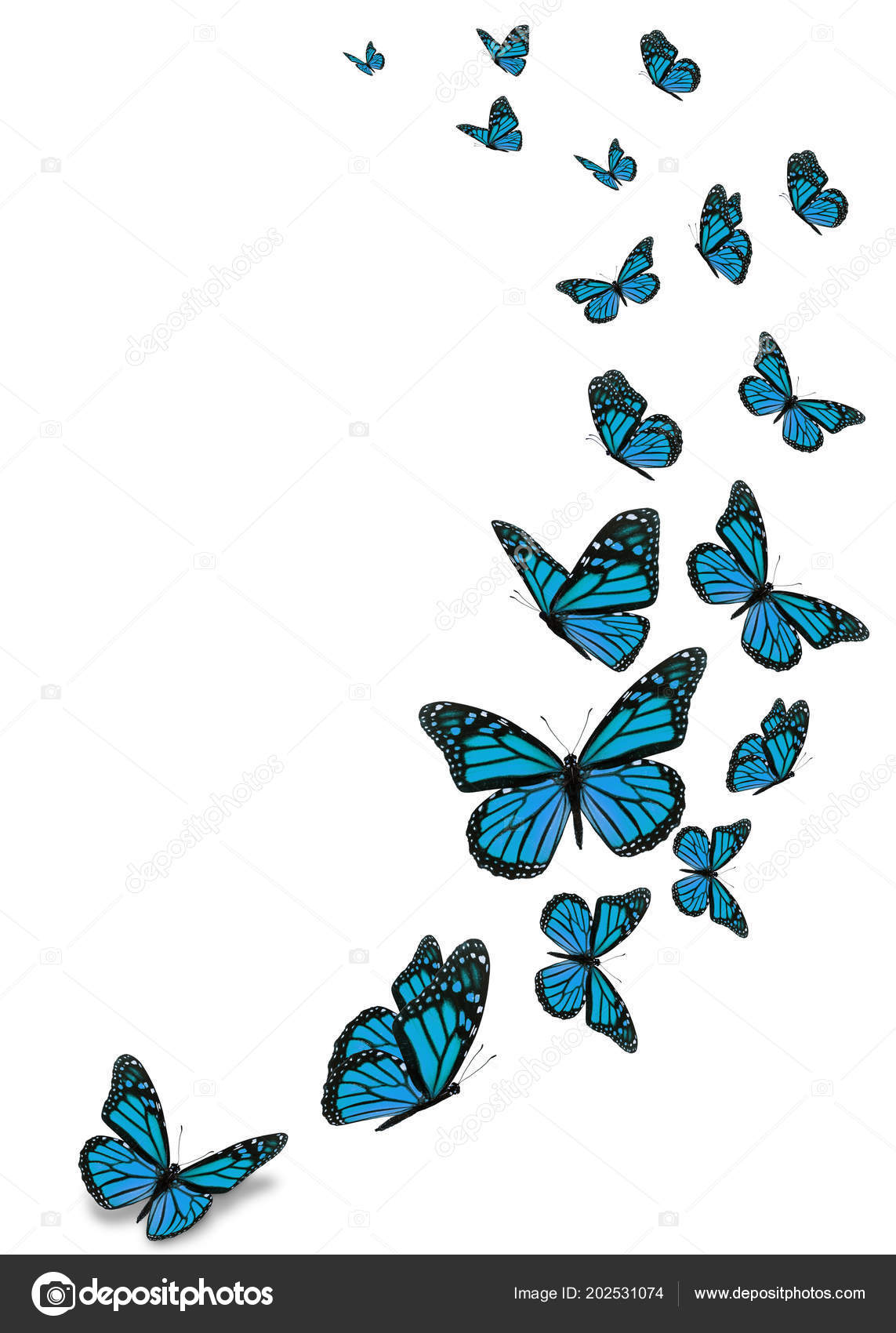 Blue Butterfly Backgrounds