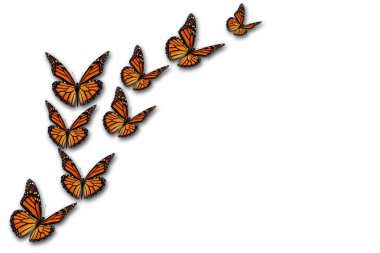 Beyaz arka plan üzerinde izole güzel kelebek monarch.