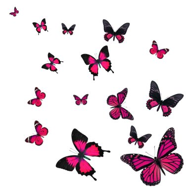 Güzel Pembe Kelebek beyaz arka planda tek başına uçuyor..