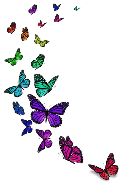 Schöne Monarch Schmetterling Isoliert Auf Weißem Hintergrund — Stockfoto