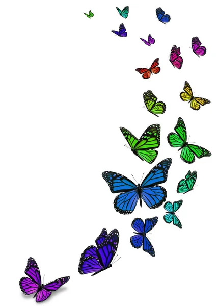Krásný Motýl Monarcha Izolovaných Bílém Pozadí — Stock fotografie