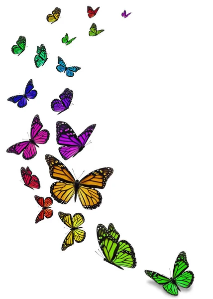 Красивая Бабочка Монарх Белом Фоне — стоковое фото
