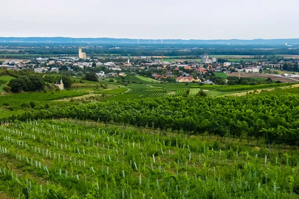 Вид Маленькому Містечку Австрії Зелені Поля — стокове фото