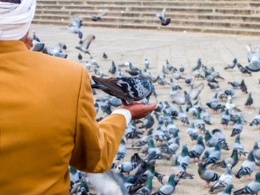 Hyderabad, Hindistan - Ocak, 4, 2018. Mekke Mescidi, Hyderabad, Hindistan ünlü bir anıt önünde güvercinler.
