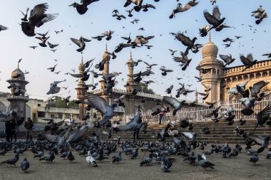 Hyderabad, Hindistan - Ocak, 4, 2018. Mekke Mescidi, Hyderabad, Hindistan ünlü bir anıt önünde güvercinler.