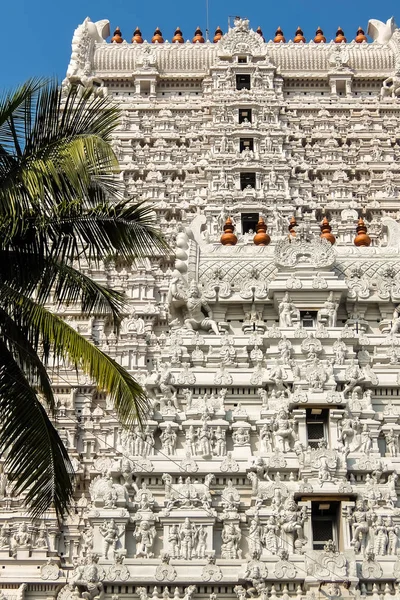 Tiruvannamalai Indie Cca Ledna 2018 Architektura Annamalaiyar Chrámu Tiruvannamalai Indie — Stock fotografie