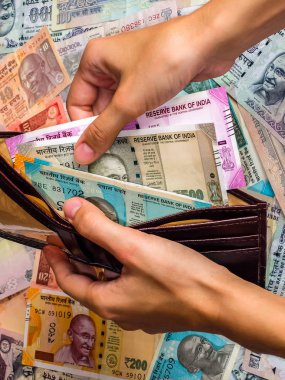Bir kadının elleri, içinde Kızılderili notları olan cüzdanı tutuyor. 10, 20, 50, 100, 200, 500 ve 2000 Hint rupisi, eski ve yeni banknotlar.