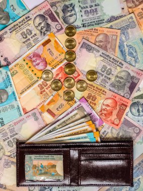 İçinde Hint parası olan cüzdan. 10, 20, 50, 100, 200, 500 ve 2000 Hint rupisi, eski ve yeni banknotlar.