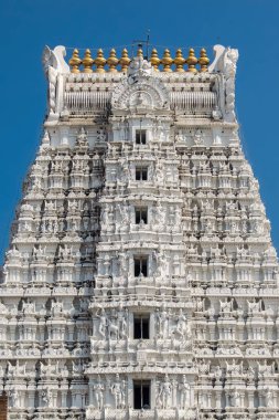 Tirupati, Hindistan - Ocak, 2018 yaklaşık. Mimari Sri Govinda Raja Swamy Tapınağı, Tirupati, Hindistan.