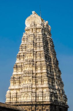 Kanchipuram, Hindistan - Ocak, 2018 yaklaşık. Sri Ekambaranathar Tapınağı Kanchipuram görünümünü.