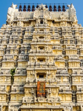 Kanchipuram, Hindistan - Ocak, 2018 yaklaşık. Sri Ekambaranathar Tapınağı Kanchipuram görünümünü.