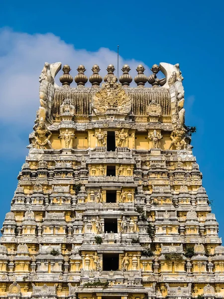 Powys Cca Ledna 2018 Pohled Sri Ekambaranathar Temple Kanchipuram — Stock fotografie