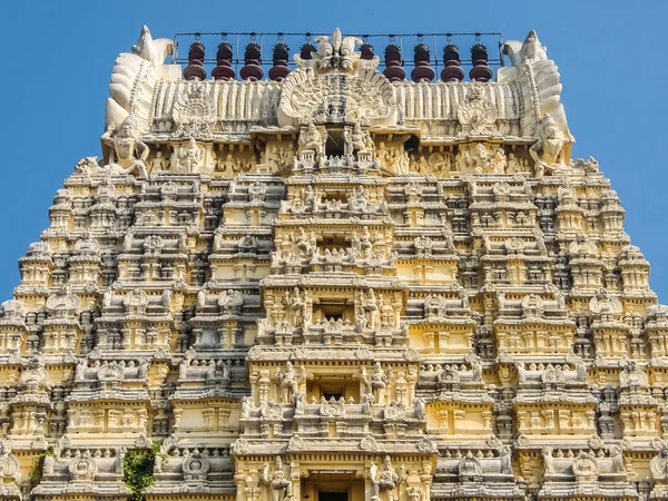 印度坎奇普拉姆 2018年1月 坎奇普拉姆的斯里埃坎巴拉纳塔尔神庙景观 — 图库照片