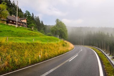 Avusturya'da güzel dağ yolu. Sisli orman ve bulutlu gökyüzü arka planda.