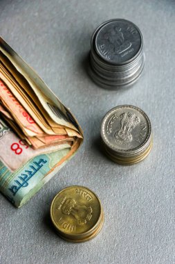 Hint para birimi (banknot ve madeni paraların görünümünü portre).