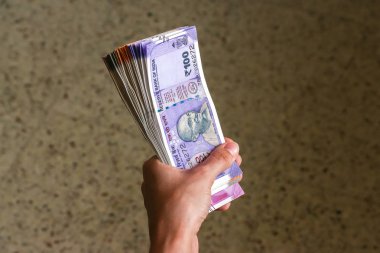 Holding yeni Hint 100, 200, 500, 2000 rupi banknotlar kadının eller.