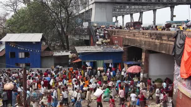 Kolkata Índia Circa Março 2019 Clientes Comerciantes Enorme Mullik Ghat — Vídeo de Stock