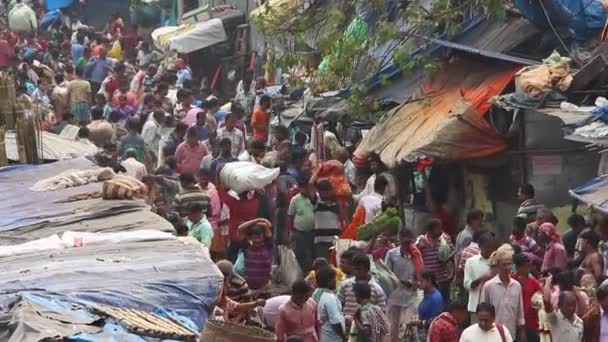 Kolkata Índia Circa Março 2019 Clientes Comerciantes Enorme Mullik Ghat — Vídeo de Stock