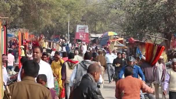 阿拉哈巴德 2019年3月 在Pryagraj参观Kumbh Mela节的被奉献者 — 图库视频影像
