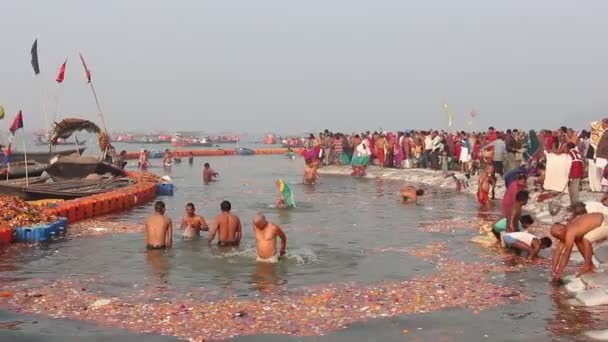 阿拉哈巴德 2019年3月 在Pryagraj参观Kumbh Mela节的被奉献者 — 图库视频影像