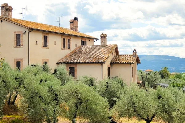 Wunderschöne Landschaft Mit Olivenbäumen Und Haus Italienischer Landschaft — Stockfoto