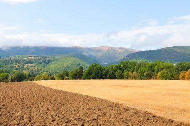 Arka planda tepeler ve bulutlu gökyüzü ile güzel tarım manzara. İtalyan kırsalında güneşli bir gün.