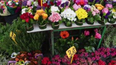 Roma, İtalya - Mayıs 2019. Ünlü sokak pazarında Çiçekçi Campo di ' Fiori.